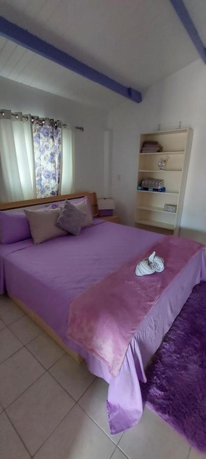 Villa Raven`s Paradise  Willemstad Eksteriør bilde