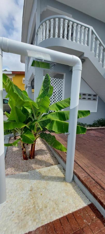 Villa Raven`s Paradise  Willemstad Eksteriør bilde